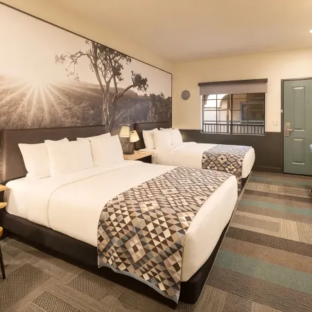 Mountain Modern Sedona, Tapestry Collection by Hilton