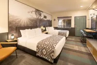 Mountain Modern Sedona, Tapestry Collection by Hilton