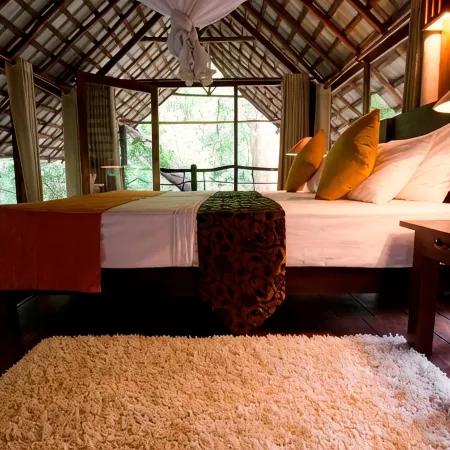 Clio Ella Resort