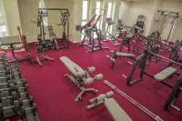 Madinat Al Bahr Business & Spa Hotel - Gym