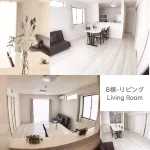 ZZOKIAI Premier Ou-B