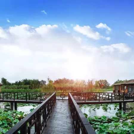 Sihong Wetland Resort