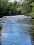 Secluded Cabin On the Salmon River Peninsula With AC and Heat in Westville NY