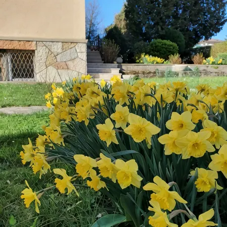 Locazione Glicine with 3 rooms for 4 guests with private parking and garden. Отели в г. Беллуно
