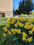 Locazione Glicine with 3 rooms for 4 guests with private parking and garden.