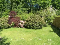 Great facilities! Close to town! Calm! - Homestays