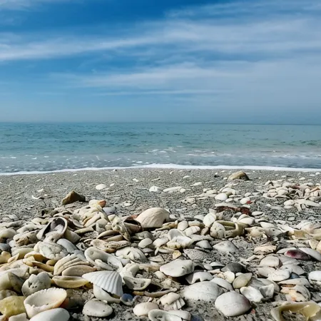 Charming Longboat Key Bungalow Minutes from Beaches, Restaurants, Parks