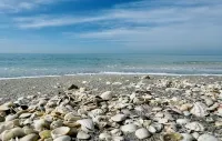 Charming Longboat Key Bungalow Minutes from Beaches, Restaurants, Parks - Beach