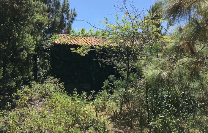 Finca la Chirita - For hikers, starry nights