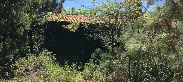 Finca la Chirita - For hikers, starry nights Hotels in Icod