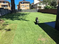 Summer Breeze ForsterThe Perfect Family Getaway on the Mid North Coast of NSW - 3つ星