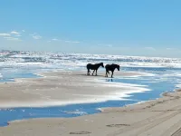 Aug 27- Sept 1st/27% Off. More Savings Sept/OCT. Oceanside. New in '24. - de playa