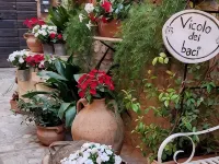 Romantic apartment in the Vicolo dei Baci located in the historic center 斯佩洛住宿飯店