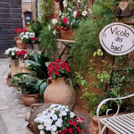 Romantic apartment in the Vicolo dei Baci located in the historic center