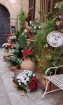 Romantic apartment in the Vicolo dei Baci located in the historic center