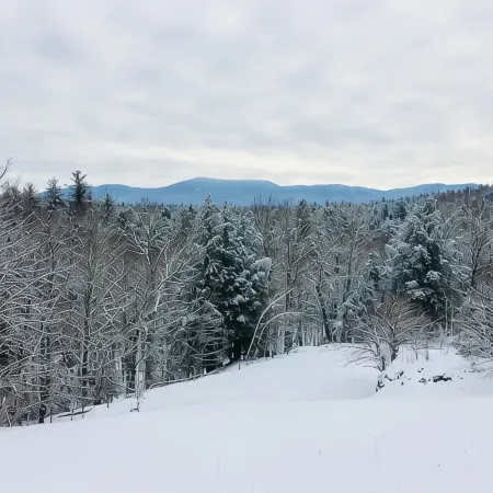 Charming Barn Carriage House in Green Mountains of Vermont Near Middlebury