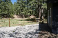 Heart of Flagstaff yet quiet and private. Backs Forest Service. - Bungalows