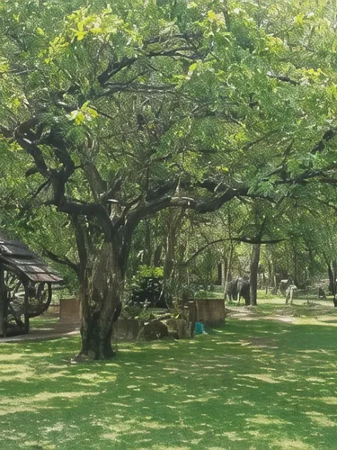 รูปภาพของอีสาน เปราซิม ปาร์ค