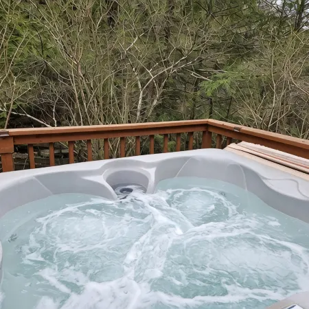 2BR cabin with private hollow, creek, and historic dam, minutes to trails/food