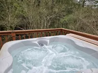 2BR cabin with private hollow, creek, and historic dam, minutes to trails/food