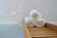 Hotel Urban Lion - Delhi Airport - Bintang 4