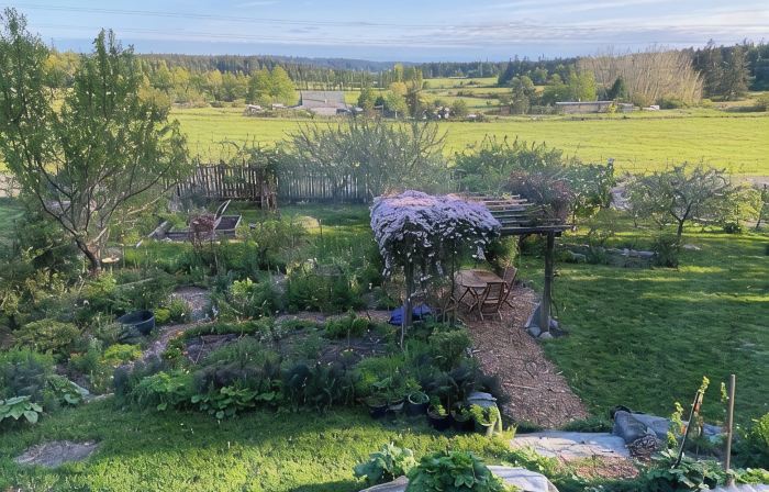 Bright art-filled home, fruit trees, valley view