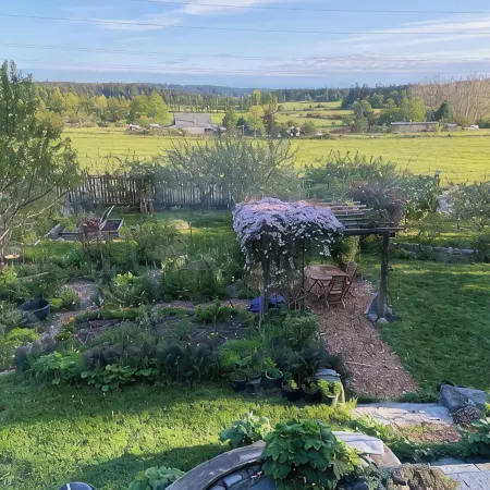 Bright art-filled home, fruit trees, valley view