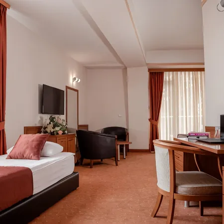 Hotel Drim