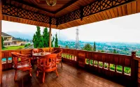 The Anty Resort