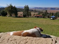 The Fat Mulberry Guest Farm - spa