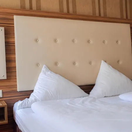 Hotel Villa Erlen