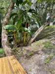 Heated Pool & Kayaking House with a Canal Access in Lake Panasoffkee - 3성급