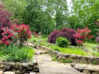 Tranquil retreat  on 16 acres sleeps 10 guests. Hotels in Izard County