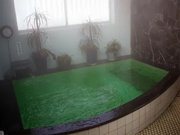 Ryokan Nashimiya Onsen