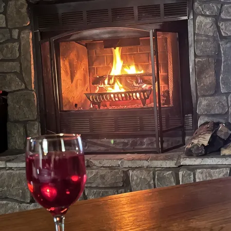 Adventurer's  Lodge, a charming 3-bedroom cabin with WiFi in quiet Lansing, WV.