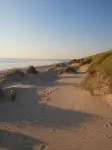 Wonderful Stay Near the Beach/Sea - Homestays