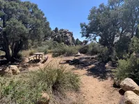 謝普斯礦工旅館 - 山景