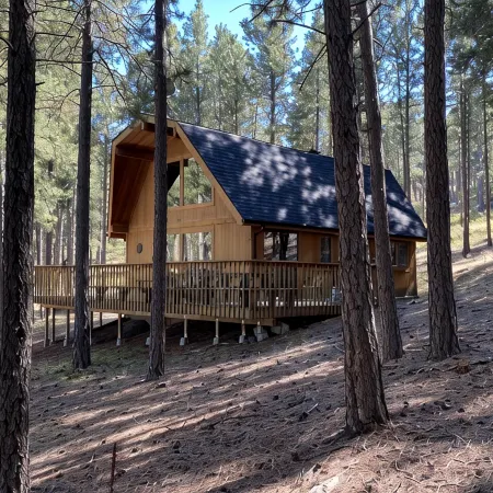 Golden Summers Cabin WIFI, Close to Lake Pactola