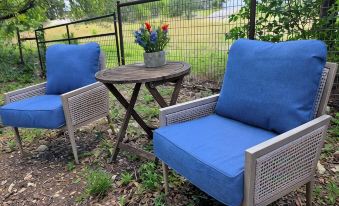 Charming studio in delightful Spring Branch for a quick, tranquil stay.
