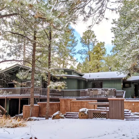 *Peace+Pines Paradise* - Cozy Luxury in the Forest