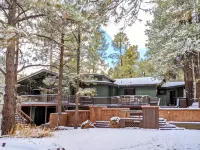 *Peace+Pines Paradise* - Cozy Luxury in the Forest - 3-Star