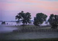 World Class Horse Farm Minutes To Keeneland, Bluegrass Airport, Bourbon Trail - 4-Star