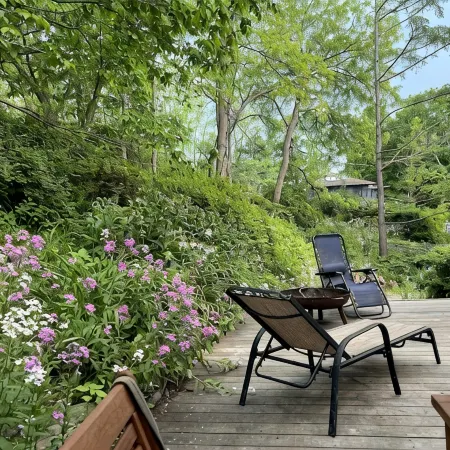 Peacock Garden Cottage - Discounted for Winter Month Rental