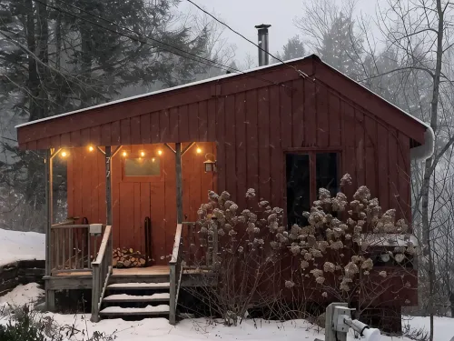 VT Cabin overlooking the West River and Village - Chalets