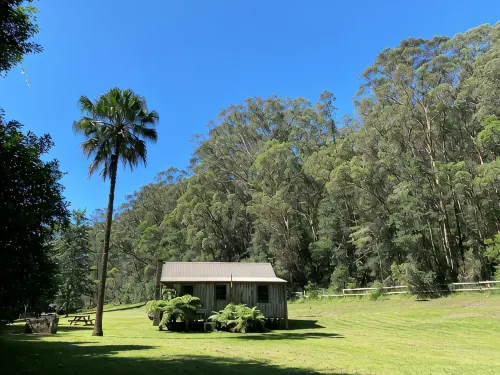Cabbage Tree Cottage @ Hidden Valley Retreat Cottages - Tiny houses