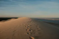 Arcachon premium apt 1 min walk from the beach - Large Terrace - Private parking - 3-Star