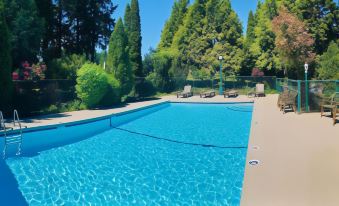 a large , clear swimming pool surrounded by trees and bushes , with several lounge chairs placed around it at Best Western Cowichan Valley Inn