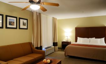 Comfort Inn Idaho Falls