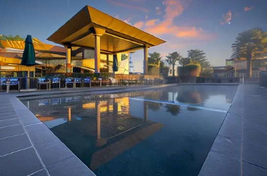 富豪棕櫚星城度假村5