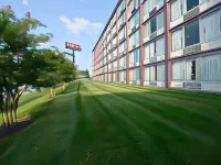 Americas Best Value Inn Baltimore Hotels in Baltimore
